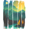 Landscape Campfire Forest