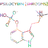 Psilocybin molecule