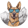 Cooler Schäferhund mit Sonnenbrille