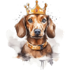 Teckel avec couronne