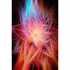 Twisted Light Fibers
