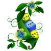 Budgie in the pea