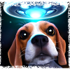 Selfie OVNI avec beagle
