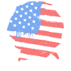 Vizsla Vizsla Flag Face