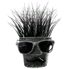 "Hipster aux herbes !!
