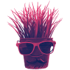 "Hipster aux herbes !!!!