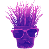 "Herb Hipster!!!!