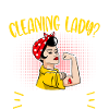Need A Cleaning Lady