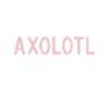 Axolotl Lover Gifts
