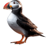 Lundi Island