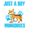 Mongoose mongoose