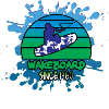 Wakeboard, Splash