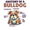 Hund forklaring Anatomi af en Bulldog