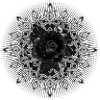 Gothic rosette ornament with black rose