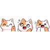 The Cute Cats