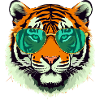 Tim le tigre à lunettes