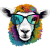 Mimou the sheep