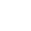 Araignée avec toile d’araignée gothique