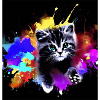 cat lover
