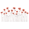 Poppies