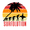 Surf Evolution Surfolution