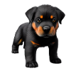 Rottweiler Hund Hundewelpe Hunde Rottweilerwelpe