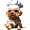 Restaurateur Cooking Dog Yorkshire Terrier Puppy