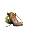 Shoe with green plant