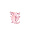 Axolotl Lover Gifts