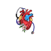 Doctor Nurse Cardiologist Cardiology