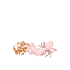 Axolotl Lover Gifts