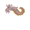 Axolotl Lover Gifts