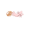 Axolotl Cadeaux d’amoureux