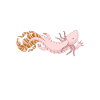 Axolotl Cadeaux d’amoureux