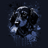 Chiot teckel