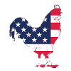 USA Flag Hen -
