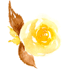 Blume