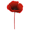 Coquelicot