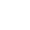 Biden 2024