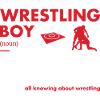 Sport Boy Définition Lutte