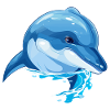 Beautiful dolphin design