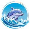 Dolphin swims with wave