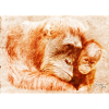 zoo S