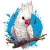 Cacatoès oiseau