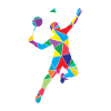 Shuttlecock Polygon Badminton