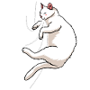 Biting Cat