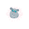 Chinchilla