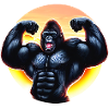 Muscular sunset gorilla