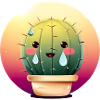 Sweating cactus in sunset