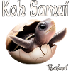 Koh Samui, Thailand